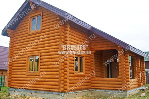 Статьи — Чем обработать сруб? — фото