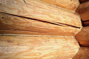 Как сэкономить на домокомплекте, не теряя в качестве? — Как бороться с растрескиванием древесины? Полезные советы — фото