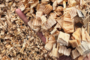 Статьи — Использование древесной щепы в качестве топлива — фото