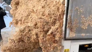 Опилки, стружка и щепа от производителя — фото-637_56