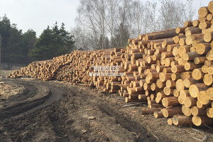 Оцилиндрованное бревно — фото-578_1