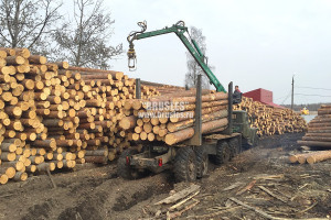 Оцилиндрованное бревно — фото-578_6