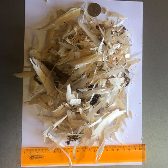 Крупная стружка от оцилиндровки бревна — фото-714_16