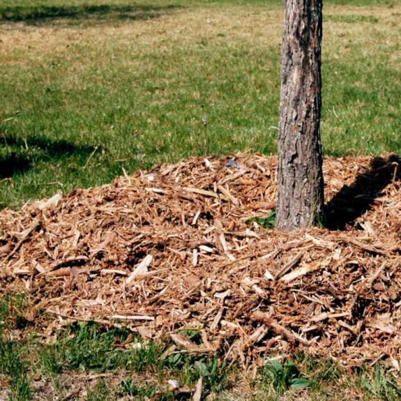 Крупная стружка от оцилиндровки бревна — фото-714_16